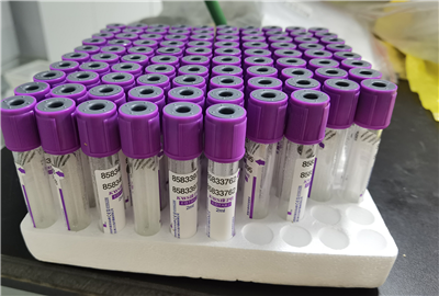 动物实验检测是连接基础理论与临床应用的重要桥梁